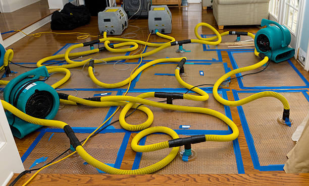 Professional Storm Water Damage Restoration technician working in Largo, MD